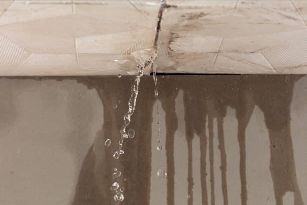 Professional Structural Drying technician working in Doyle, TN